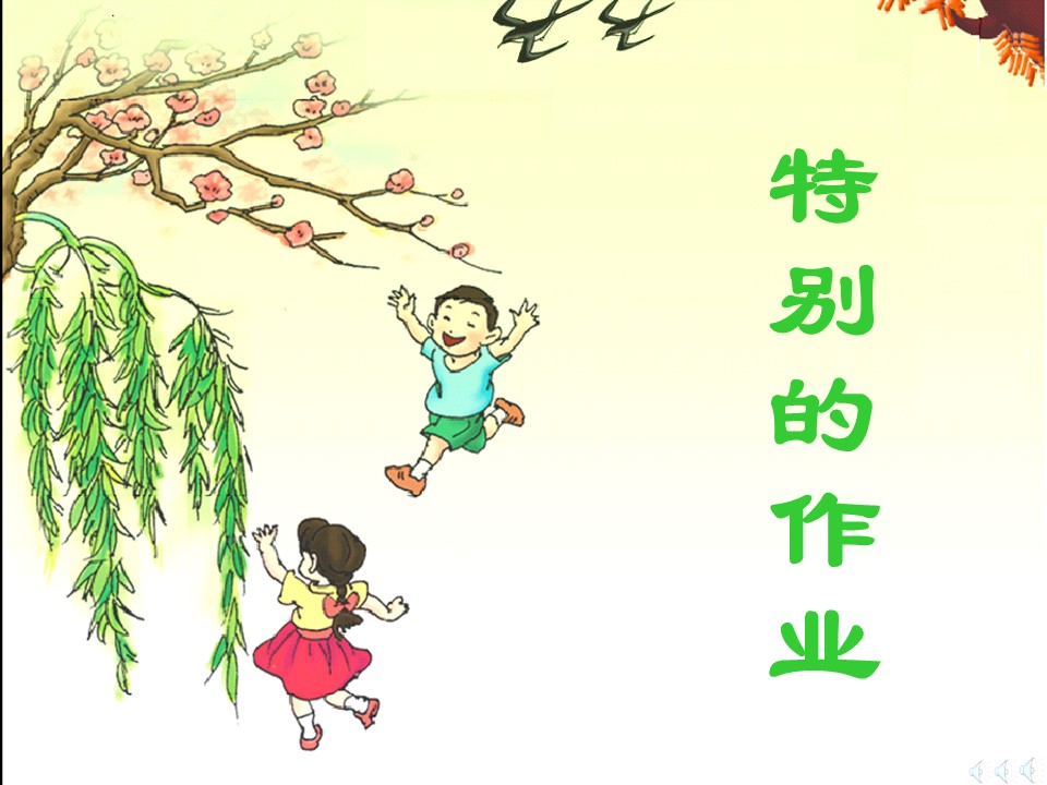 特别的作业课件ppt