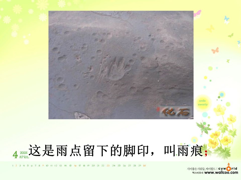 小学生语文最大的书课件ppt模板