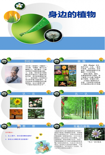身边的植物ppt模板