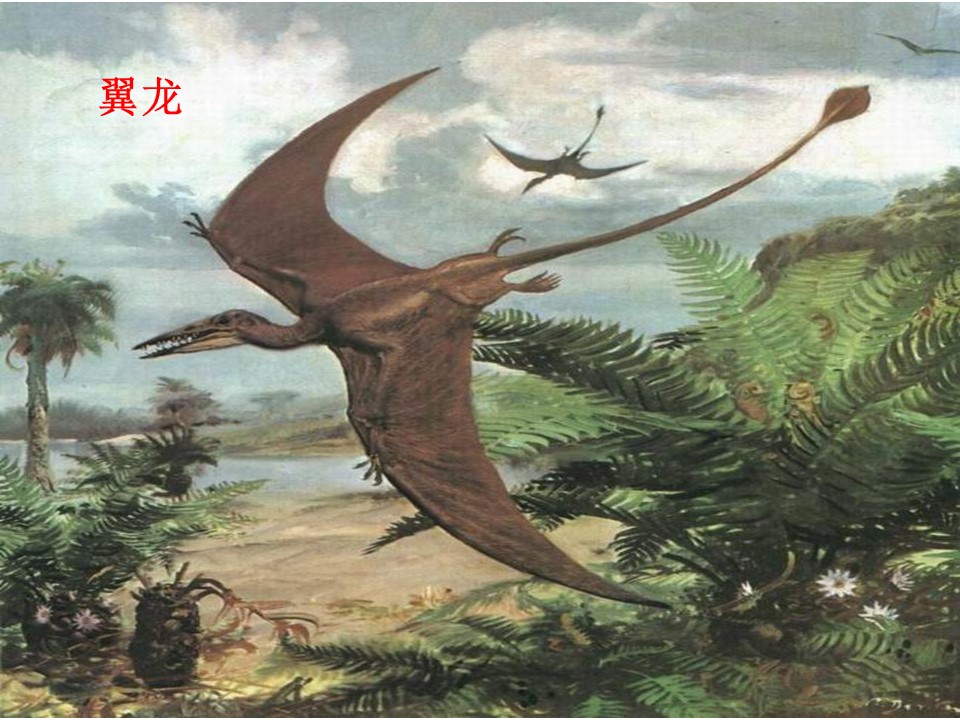 恐龙的灭绝ppt课件模板