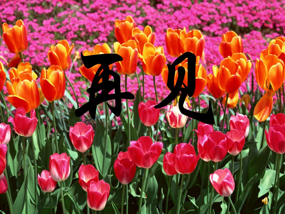 邮票齿孔的故事ppt模板