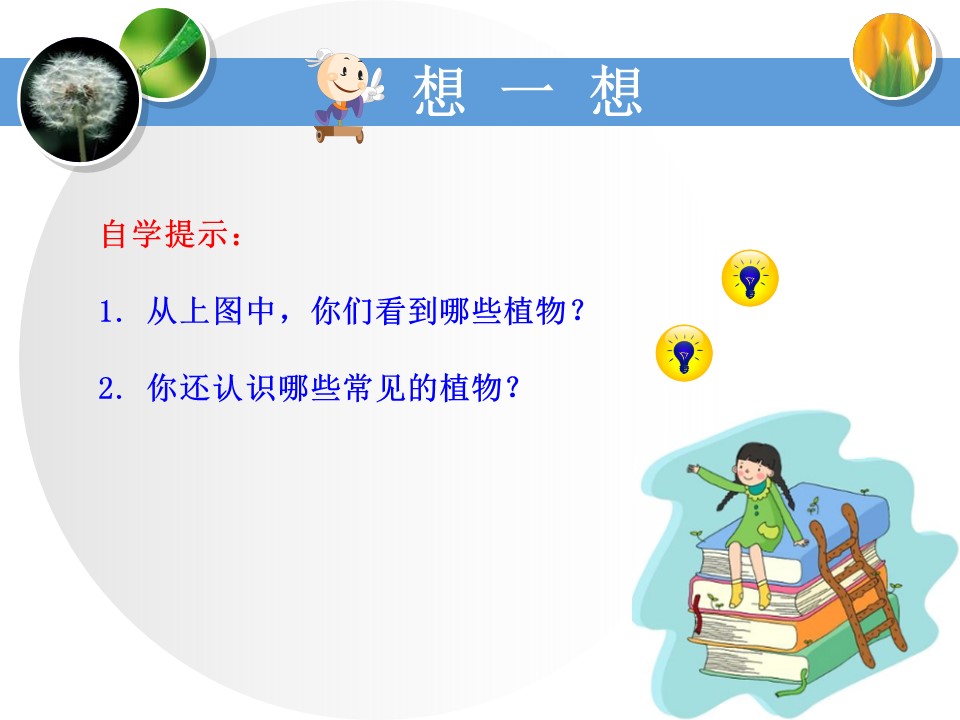 身边的植物ppt模板