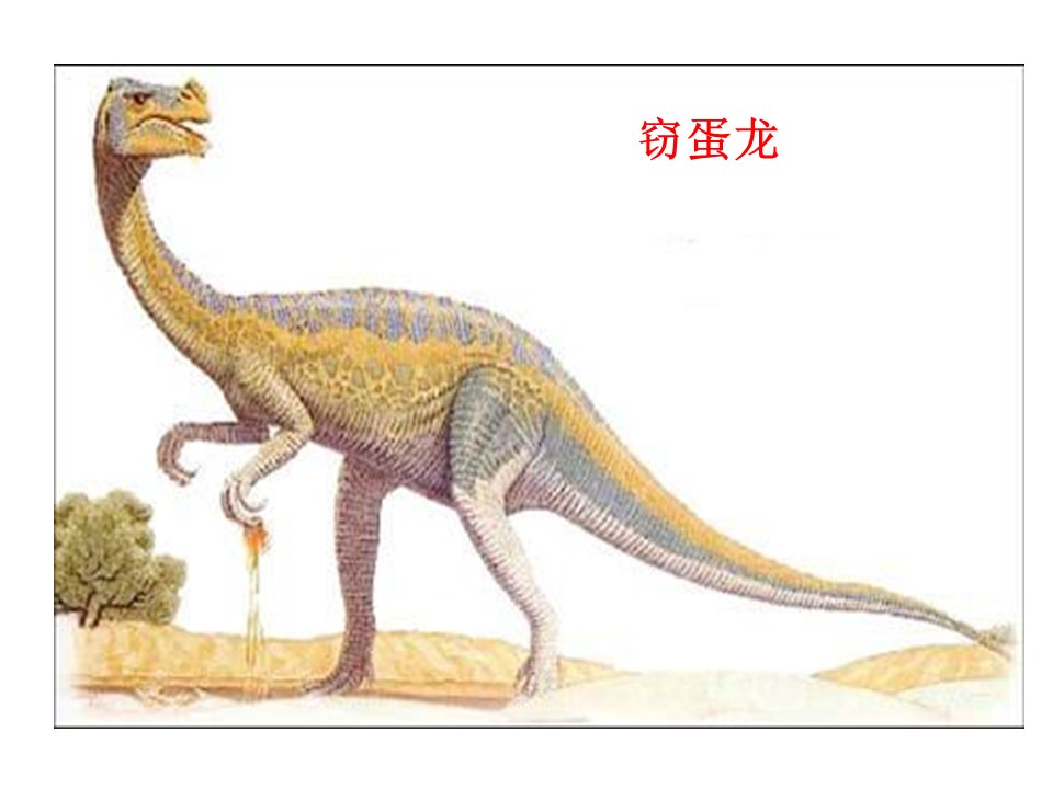 恐龙的灭绝ppt课件模板