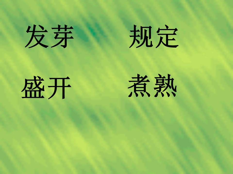 手捧空花盆的孩子ppt模板