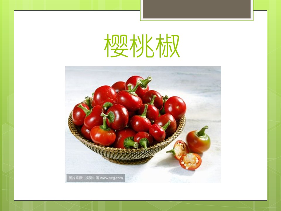 种植辣椒ppt课件