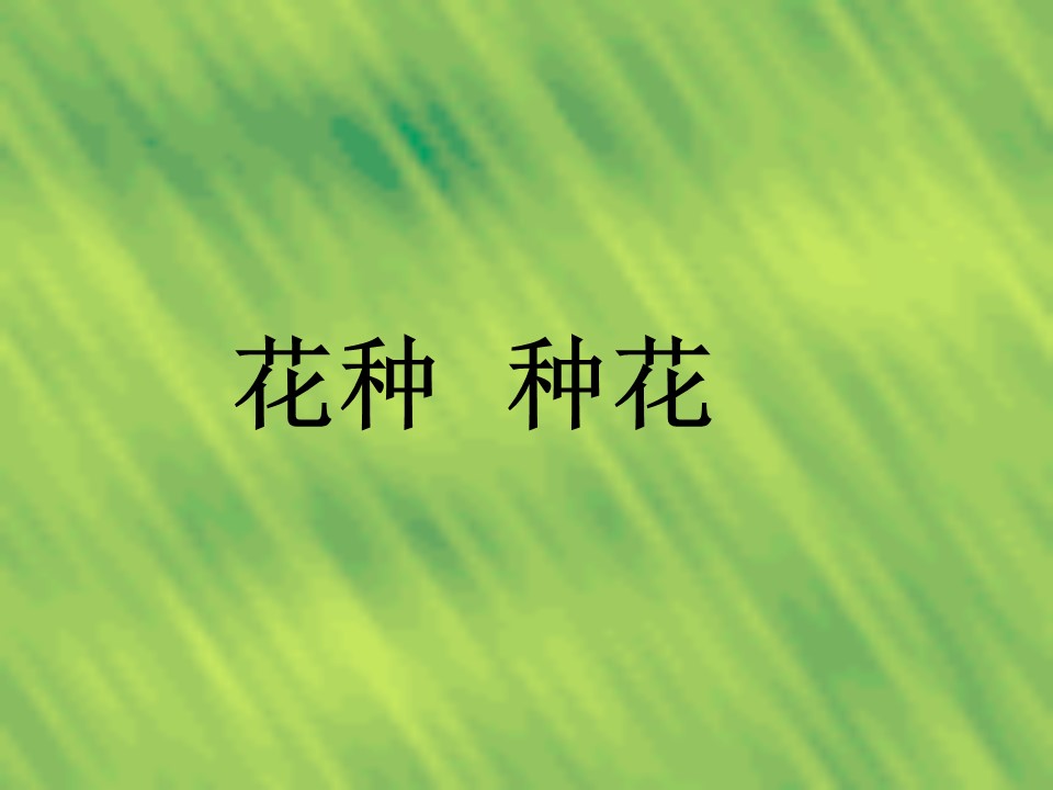 手捧空花盆的孩子ppt模板