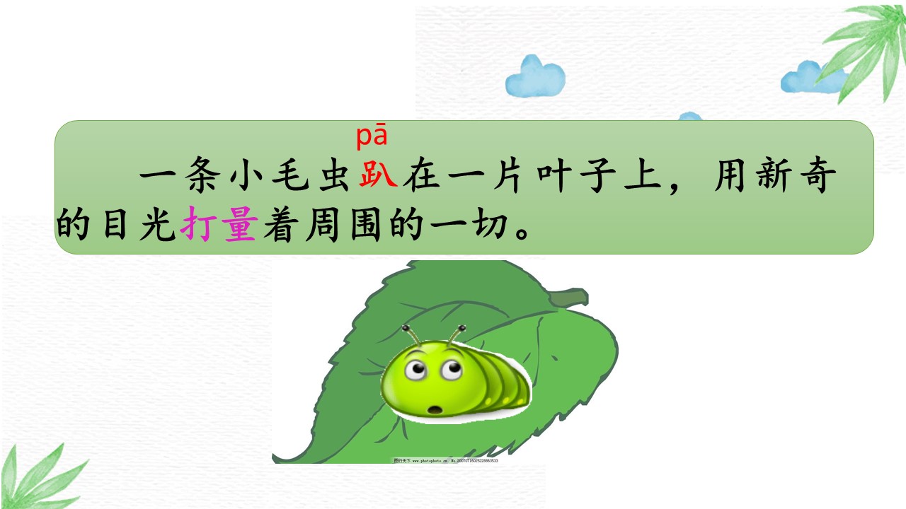 小毛虫教育课件ppt