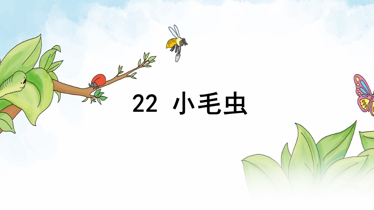 小毛虫教育课件ppt