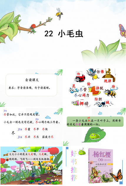 小毛虫教育课件ppt