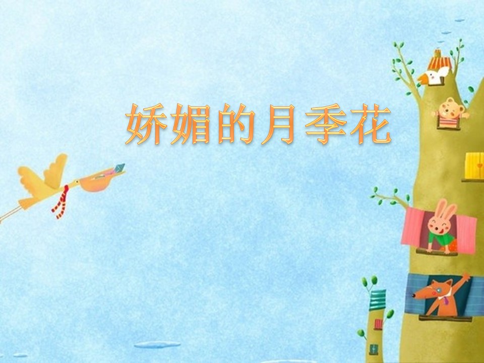 娇媚的月季花ppt模板