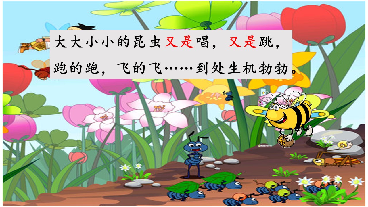 小毛虫教育课件ppt