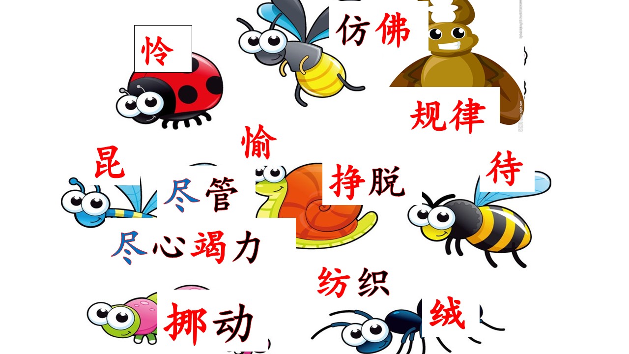 小毛虫教育课件ppt
