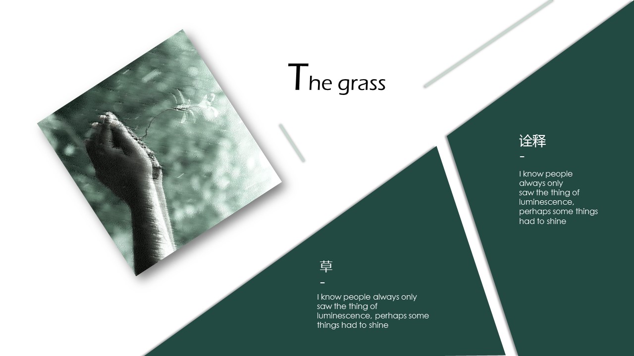 个人总结各种形状ppt