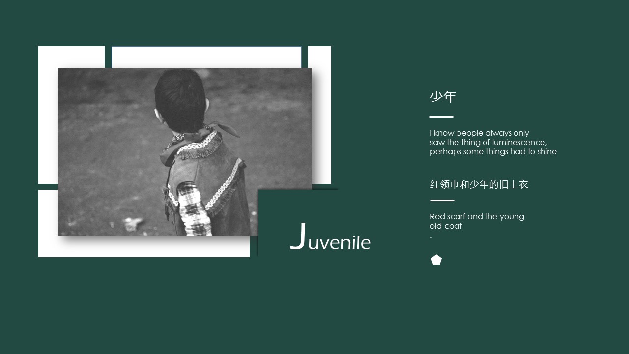 个人总结各种形状ppt