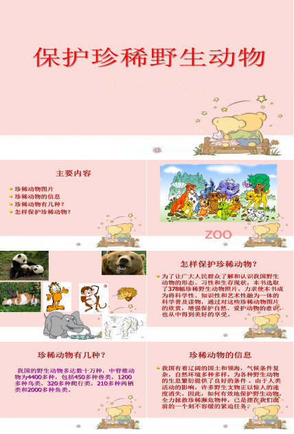 保护珍稀野生动物ppt模板