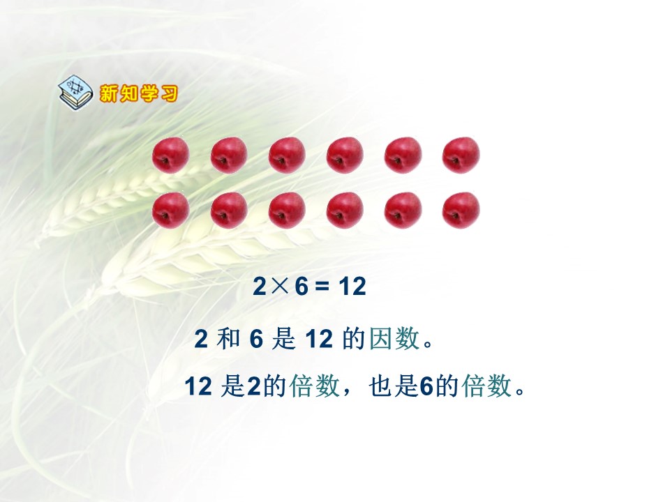 团体体操ppt模板 