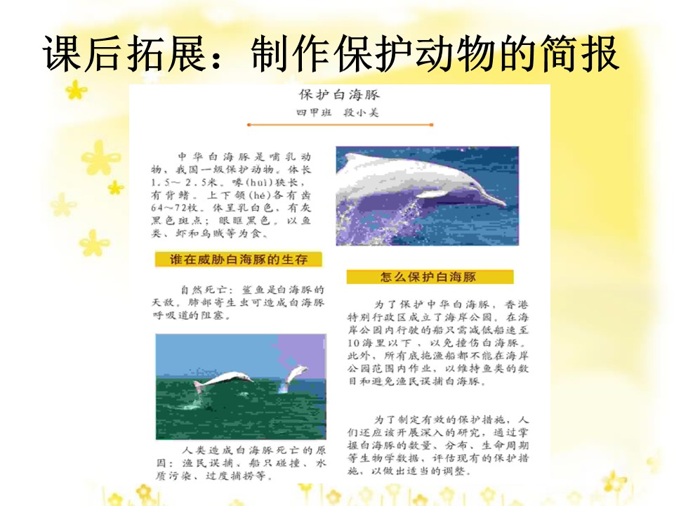 保护动物的ppt模板