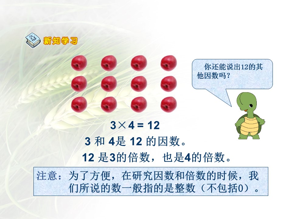 团体体操ppt模板 