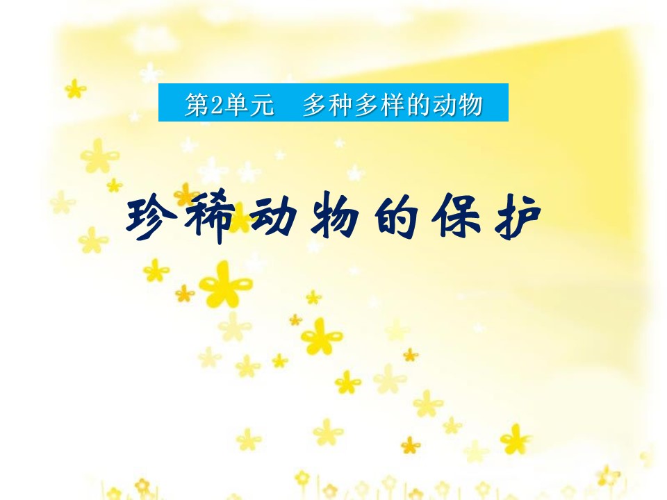 保护动物的ppt模板