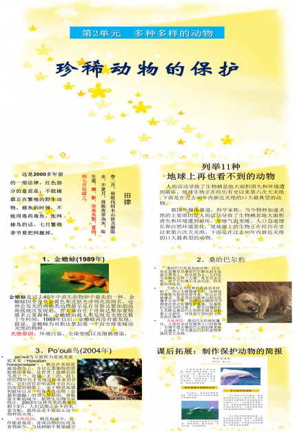 保护动物的ppt模板