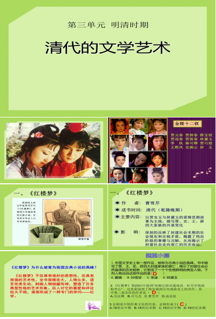 中国古代文学史-清代文字艺术ppt课件