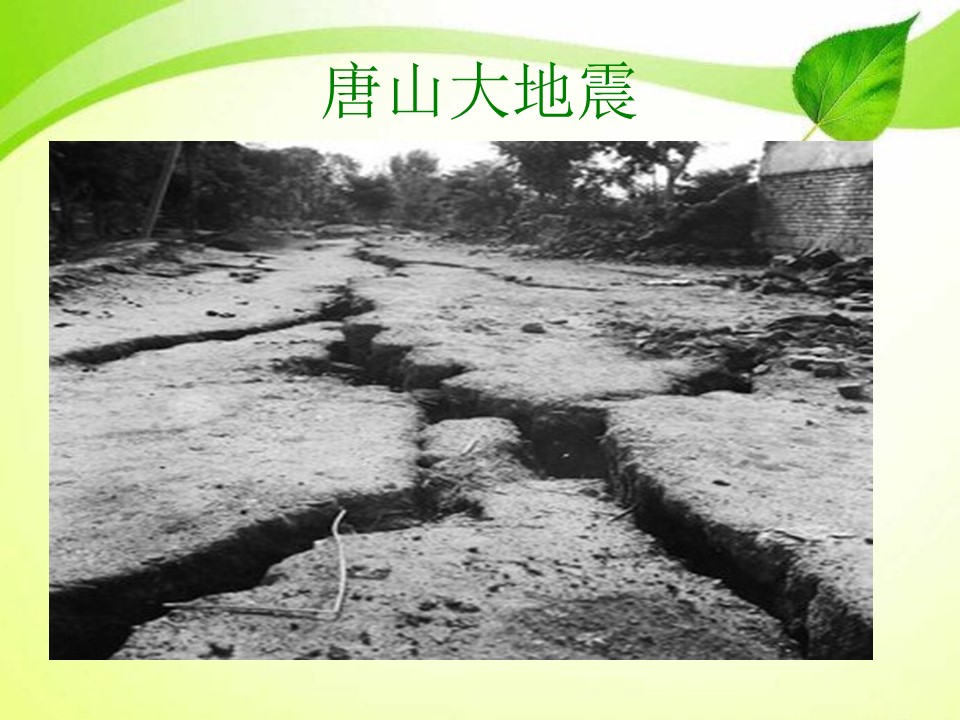 还有人活着吗ppt课件