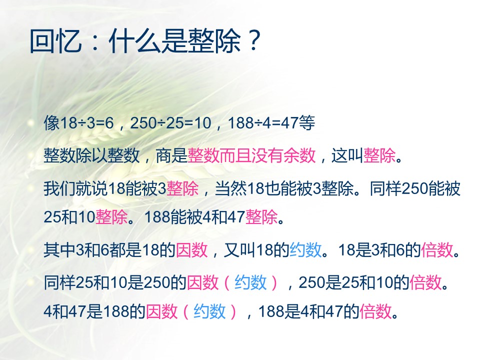 团体体操ppt模板 