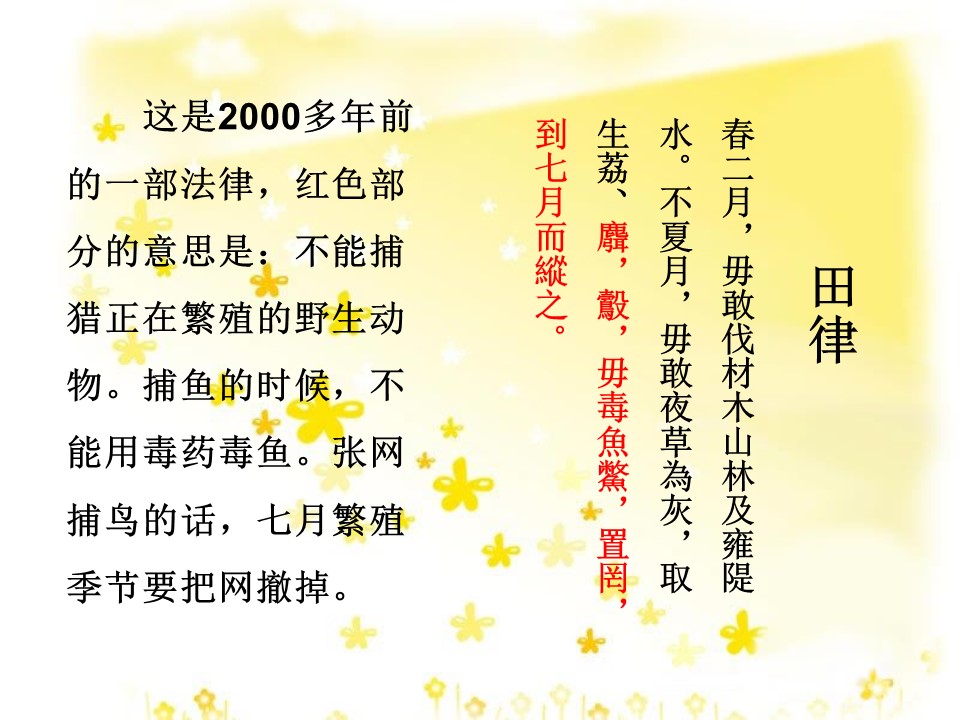 保护动物的ppt模板