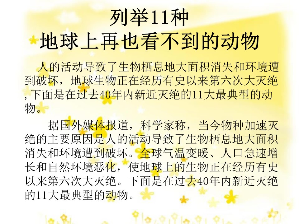 保护动物的ppt模板