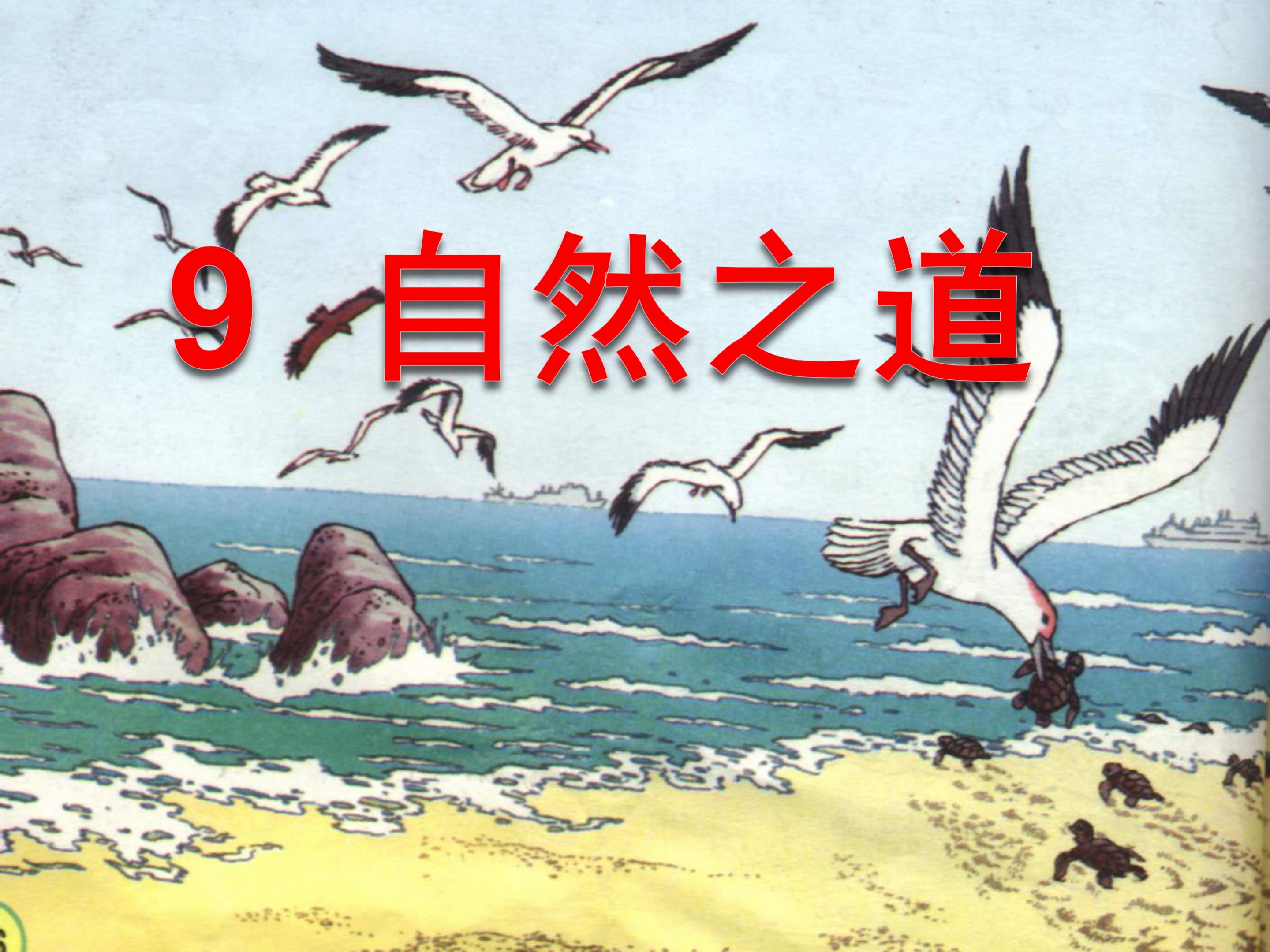 语文课件自然之道课文ppt模板