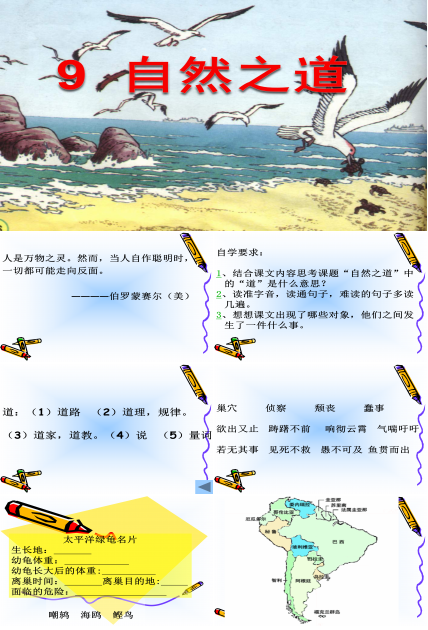 语文课件自然之道课文ppt模板