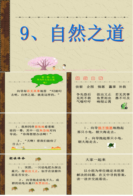 自然之道课文ppt模板