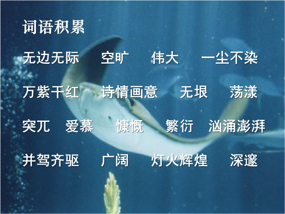 富饶的海洋ppt模板