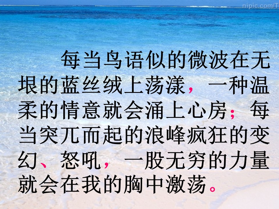 富饶的海洋ppt模板