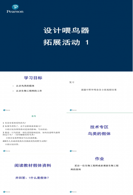 喂鸟器-假体与职业ppt模板