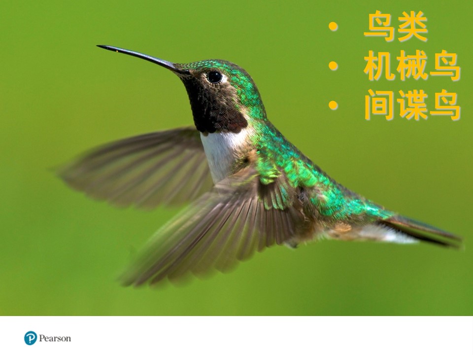 课题知识ppt模板