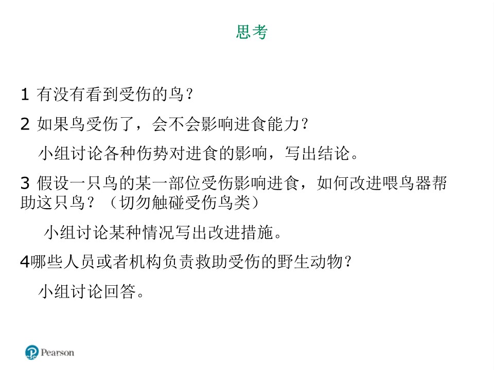 喂鸟器-假体与职业ppt模板