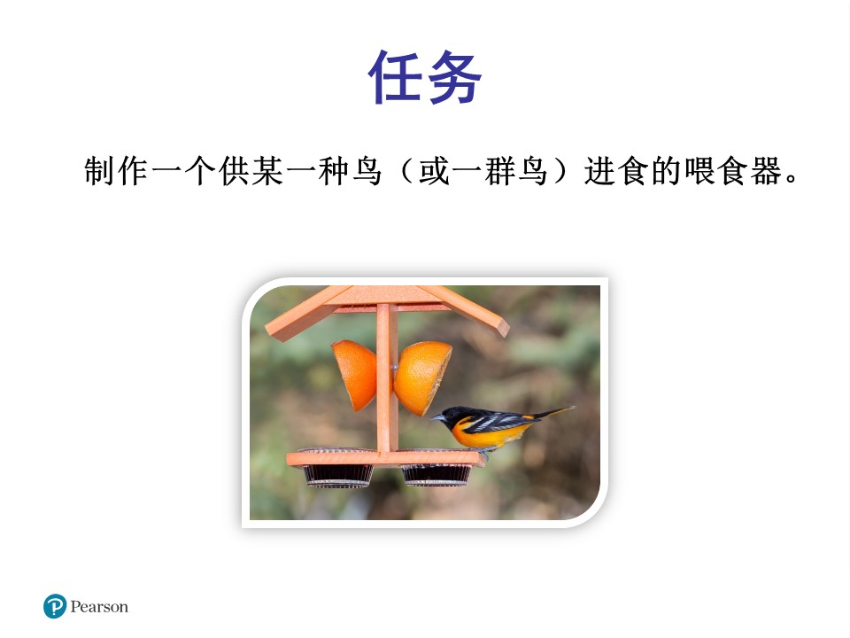 设计喂鸟器8-确定问题与任务ppt模板