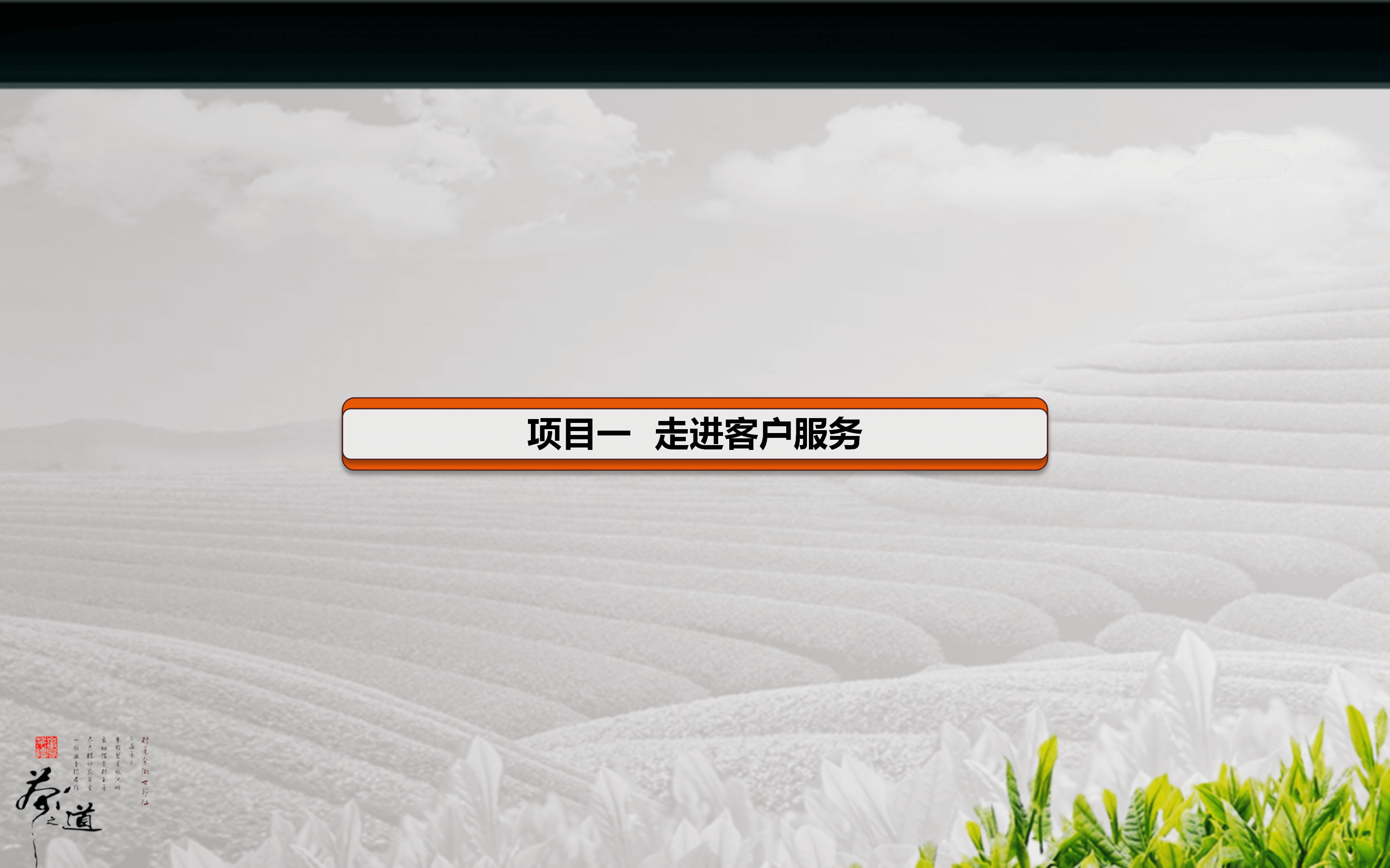 客户服务理念ppt模板