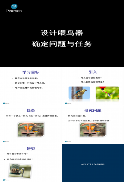 设计喂鸟器8-确定问题与任务ppt模板
