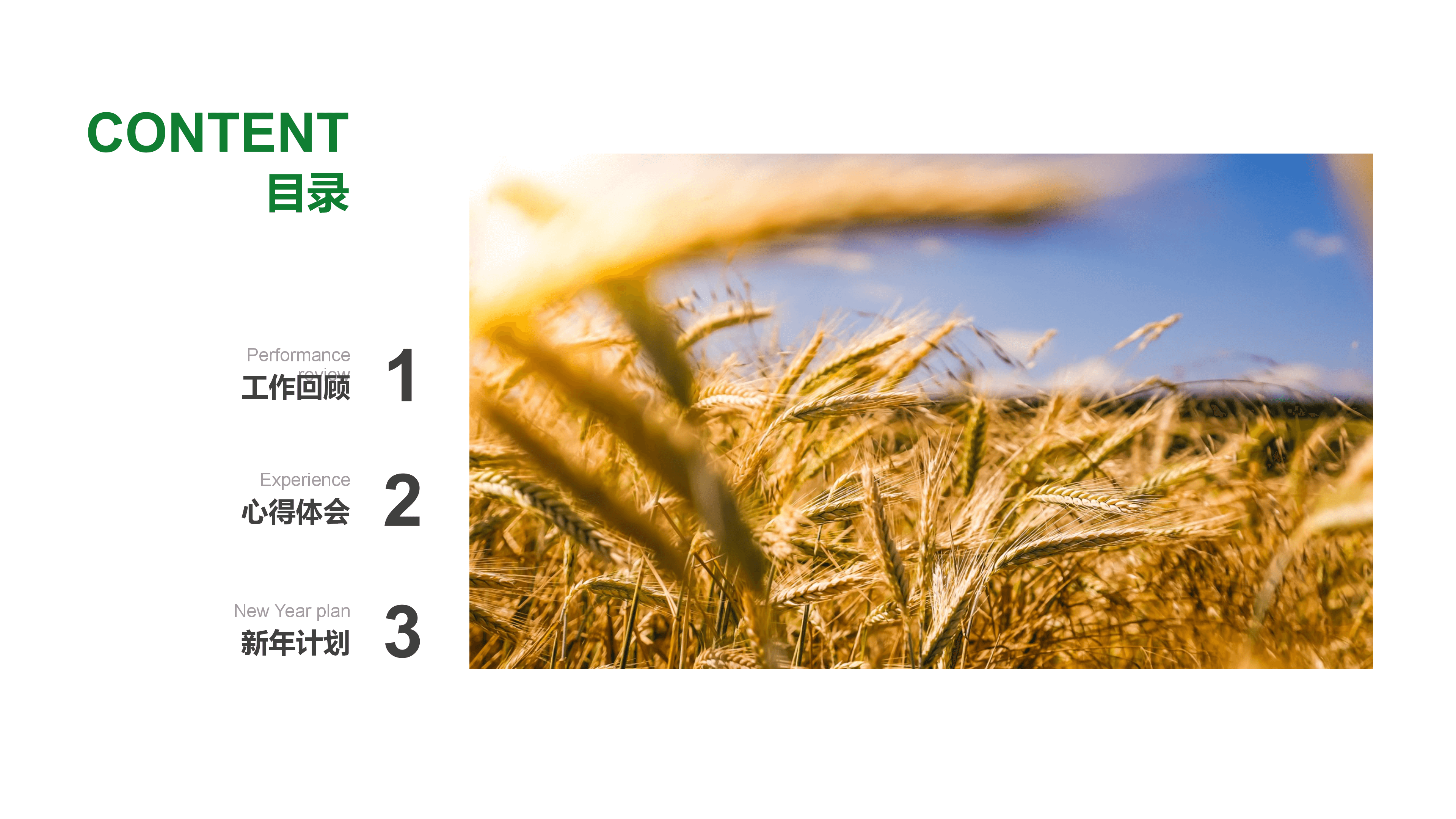 农业年终总结PPT模板