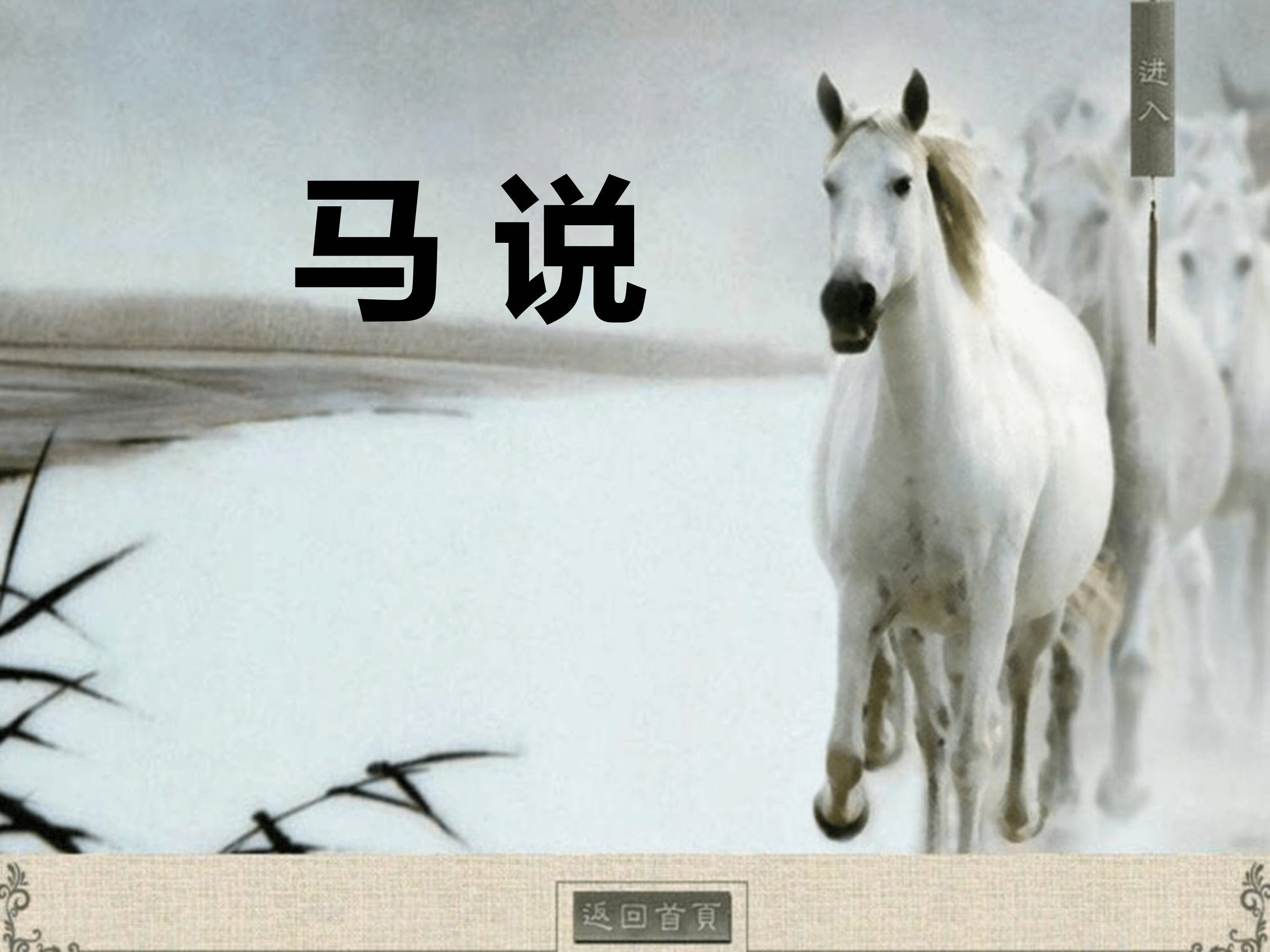 马说课件PPT模板