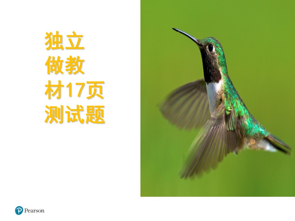 喂鸟器课后测试ppt模板