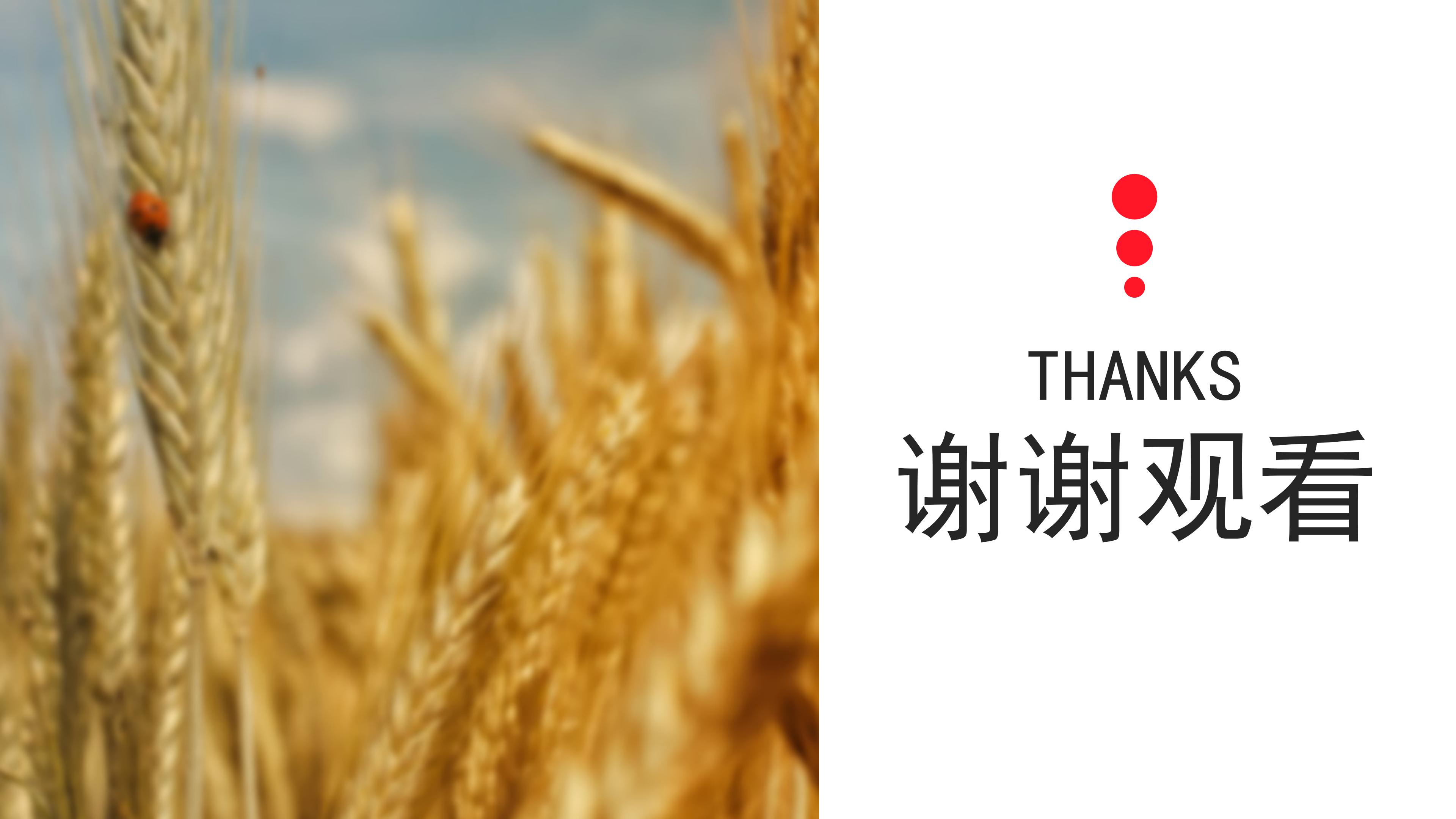 烘焙学校年终总结ppt模板