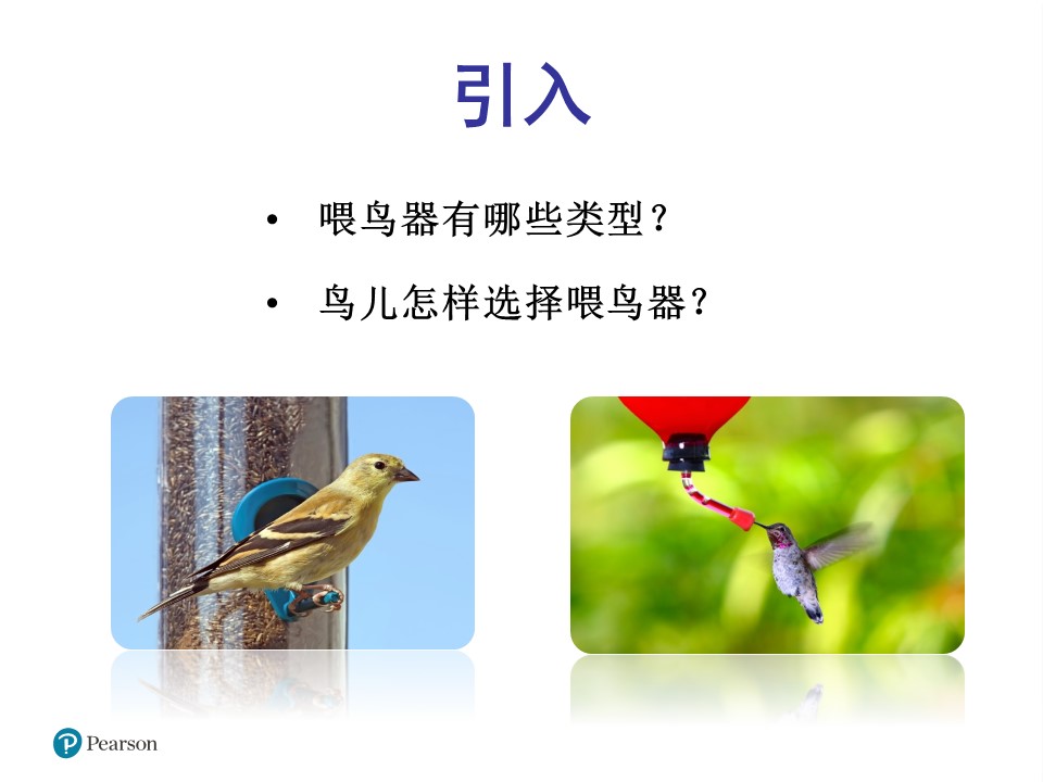 设计喂鸟器8-确定问题与任务ppt模板