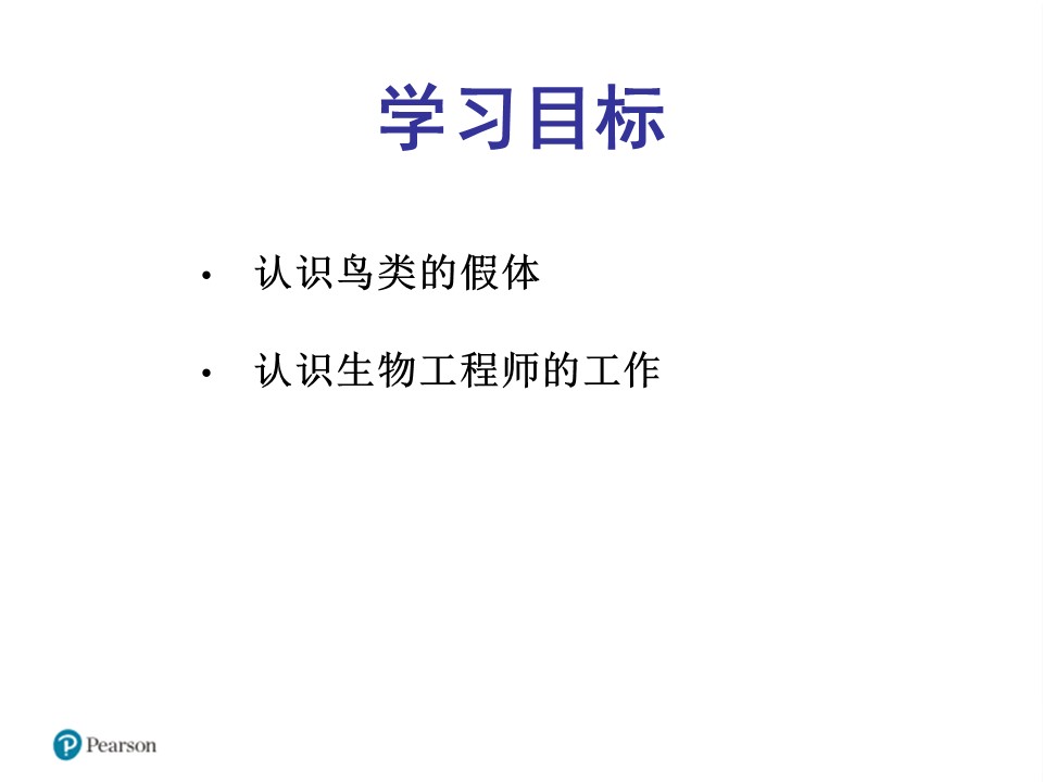 喂鸟器-假体与职业ppt模板