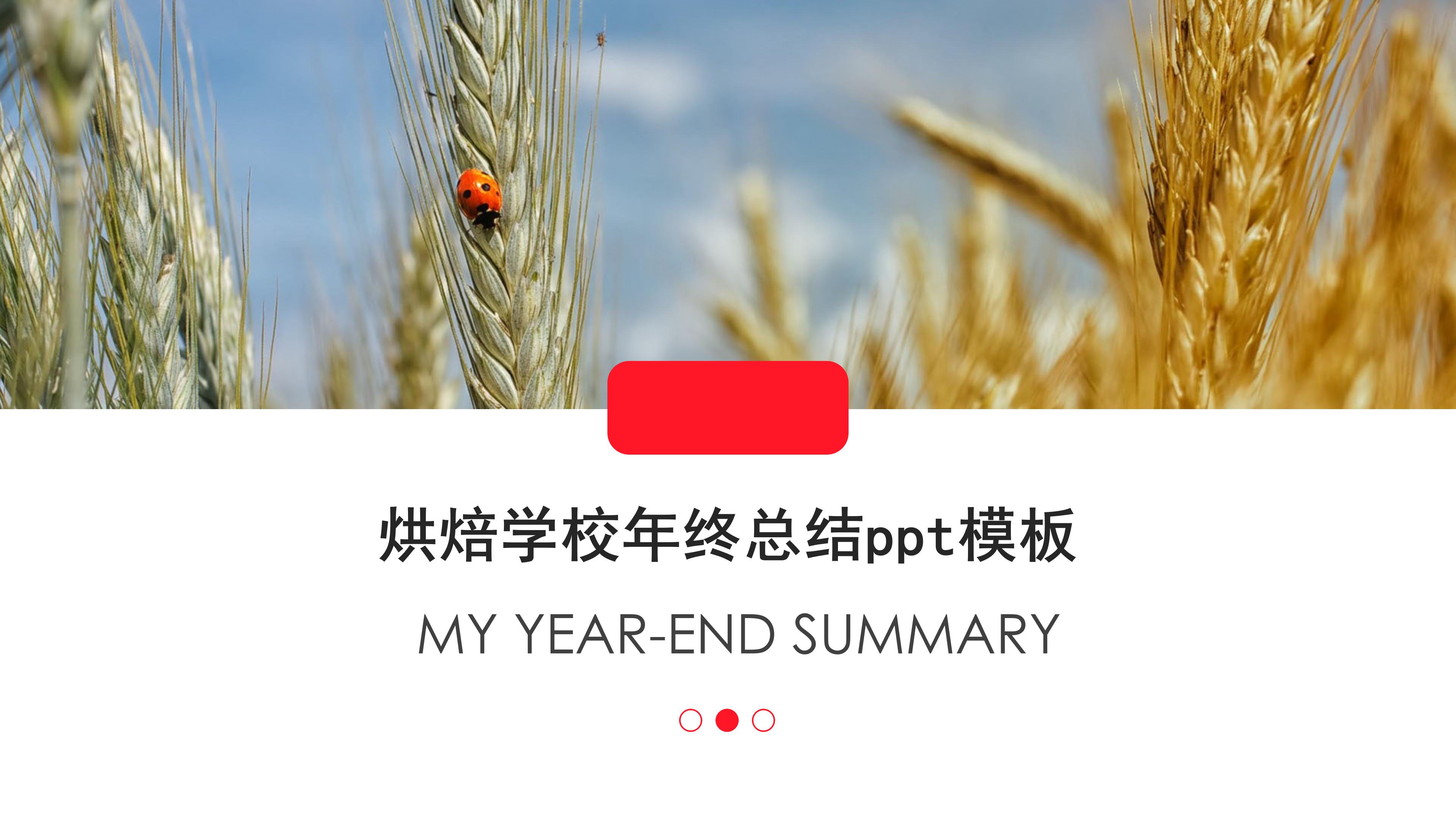 烘焙学校年终总结ppt模板