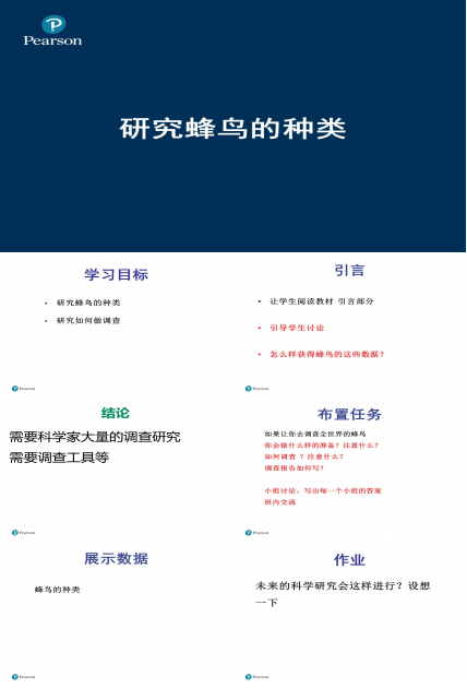 喂鸟器-研究蜂鸟的迁徙ppt模板