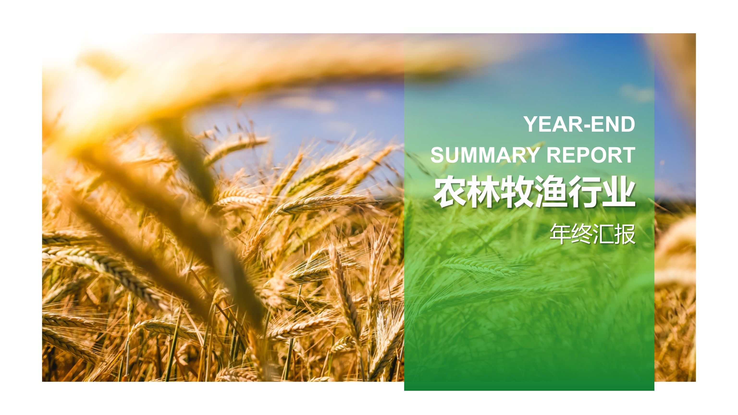 农业年终总结PPT模板