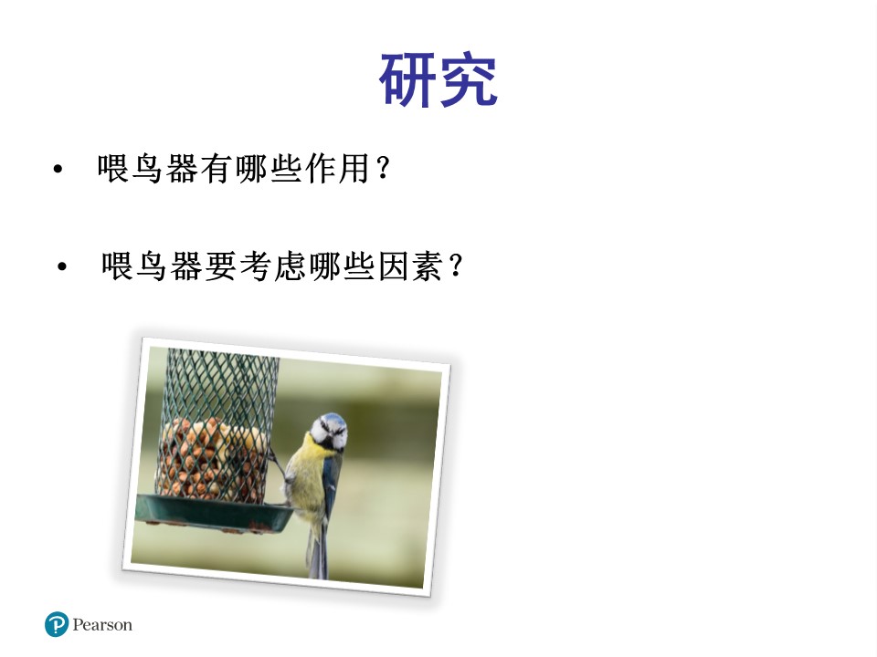 设计喂鸟器8-确定问题与任务ppt模板